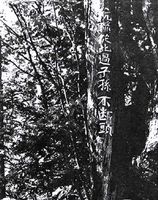 最真实的国产伏击战！最真实的抗联生活电影！