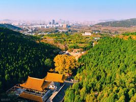 铁胆兄弟5：兄弟诀别