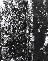 最真实的国产伏击战！最真实的抗联生活电影！