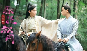 被严重低估的6部宝藏剧，口碑爆棚却无人问津，哪部让你意难平？