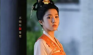 1月21日追剧日历，7部长剧更新，谍战剧《长河落日》即将收官