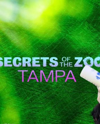 动物园秘辛：坦帕湾第四季
