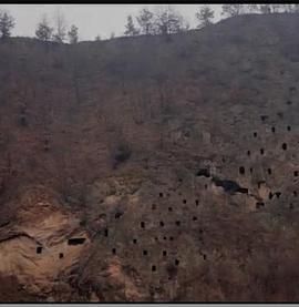 狩猎场&middot;寄死窑