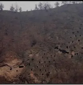 狩猎场&middot;寄死窑